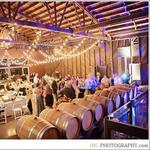 Saltwater Farm Vineyard