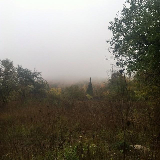 October 14th, 2014:
Emilio and Samantha stopped on the side of the road and took this in the first week after they moved to Traverse City. ✨