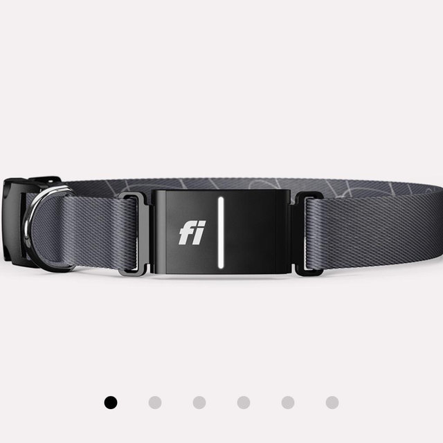 Fi Smart Dog Collar | Dog GPS & Health tracking