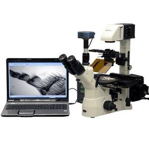 AmScope IN480TC-FL-BWF Digital Long Working-Distance Inverted Fluorescence Trinocular Microscope, 40x-1500x, WH10x Plan and WH25x Super-Widefield Eyepieces, Brightfield and Phase-Contrast Objectives, 30W Halogen Illumination, 0.3 NA Kohler Condenser, Mechanical Stage, 90V-240V, Includes 1.4MP Peltier-Cooled Fluorescence Video Camera and Software