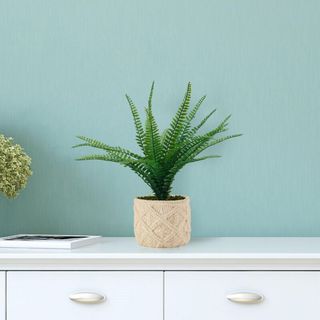 Artificial Fern in Embossed Cement Pot