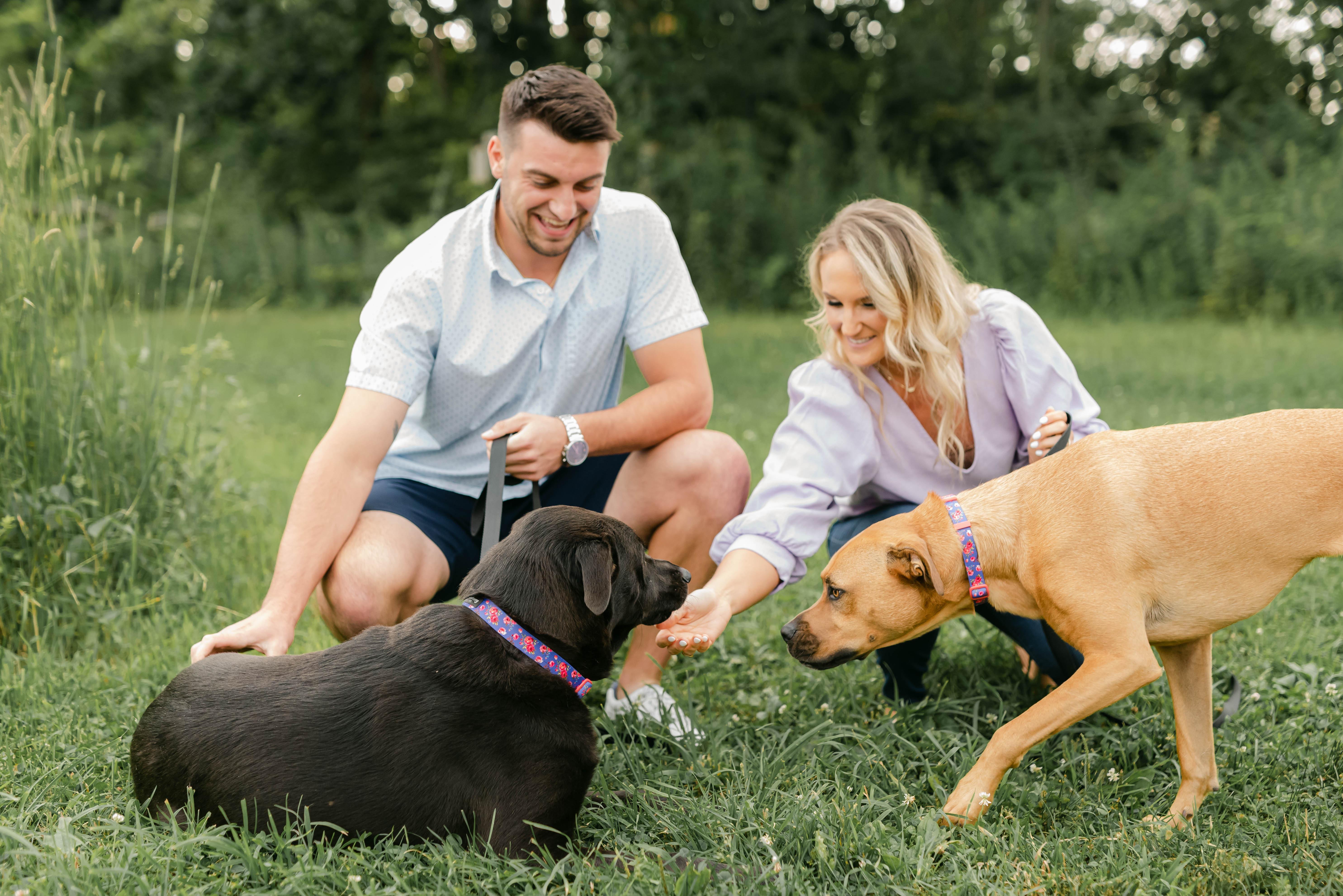 The Wedding Website of Cailynn Harding and Nicholas Velleca