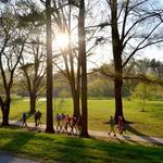 Lake Daniel Park