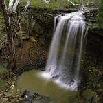 Charleston Falls Preserve