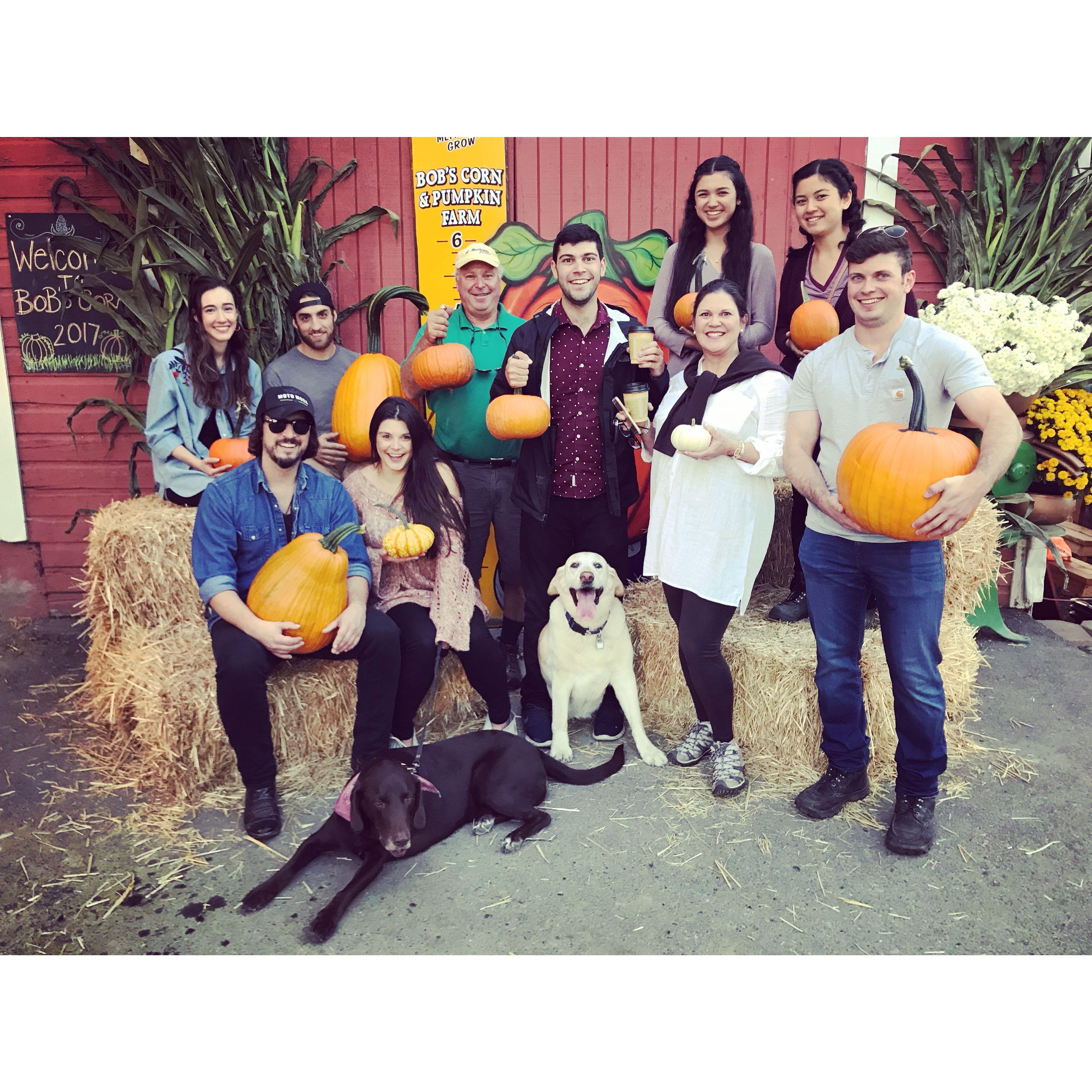 Pumpkin Patch