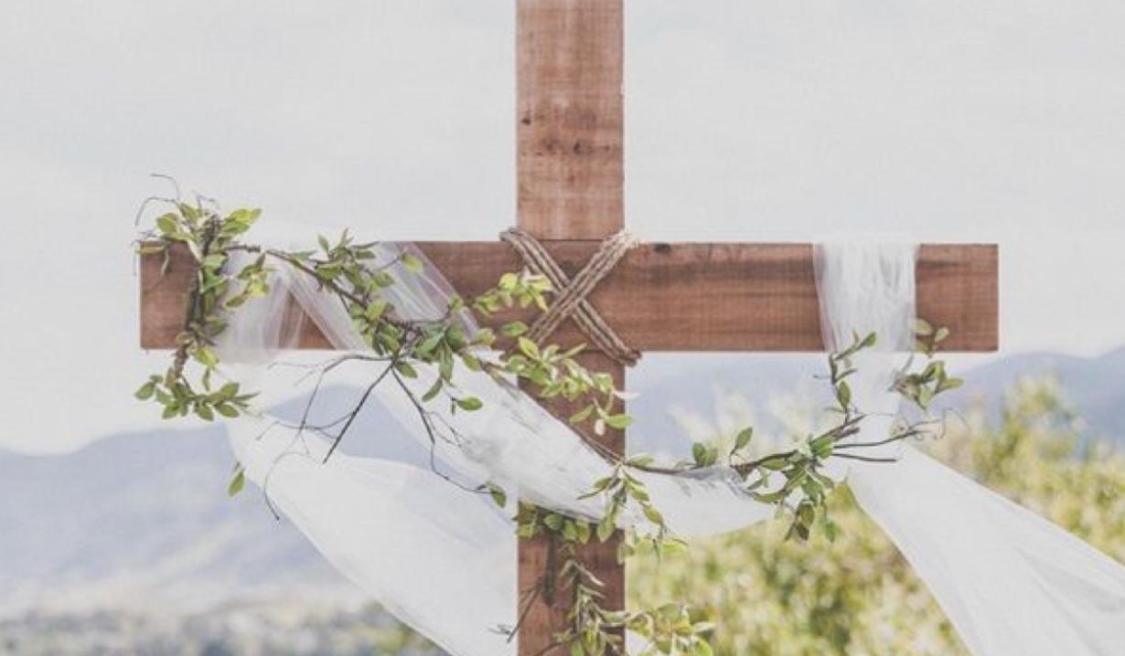 The Wedding Website of Devon Hylton and India Alicea