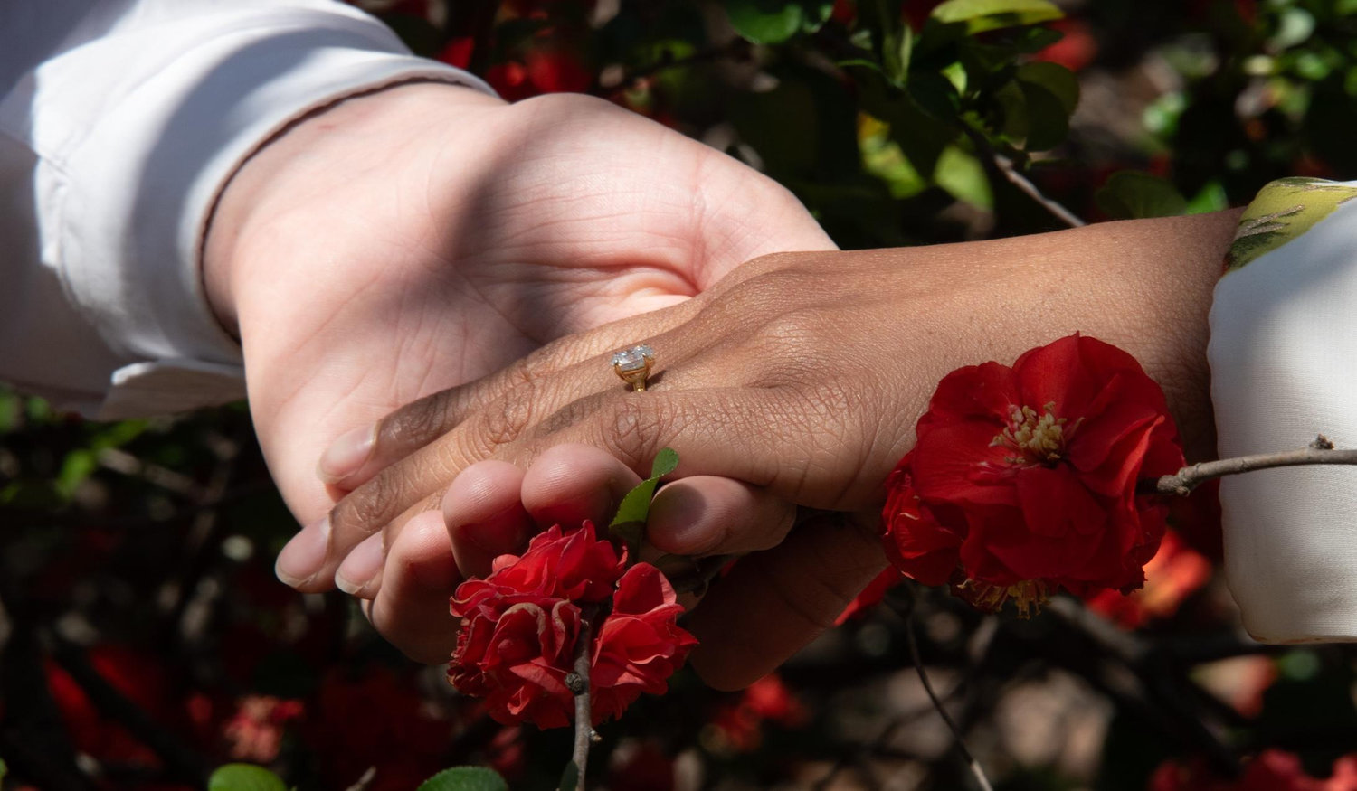 The Wedding Website of Talya Jana Racquel Ali and Kyle Humphreys Gavi