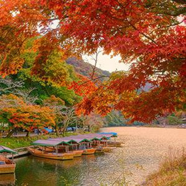 Arashiyama Bamboo Grove & River Boat Tour