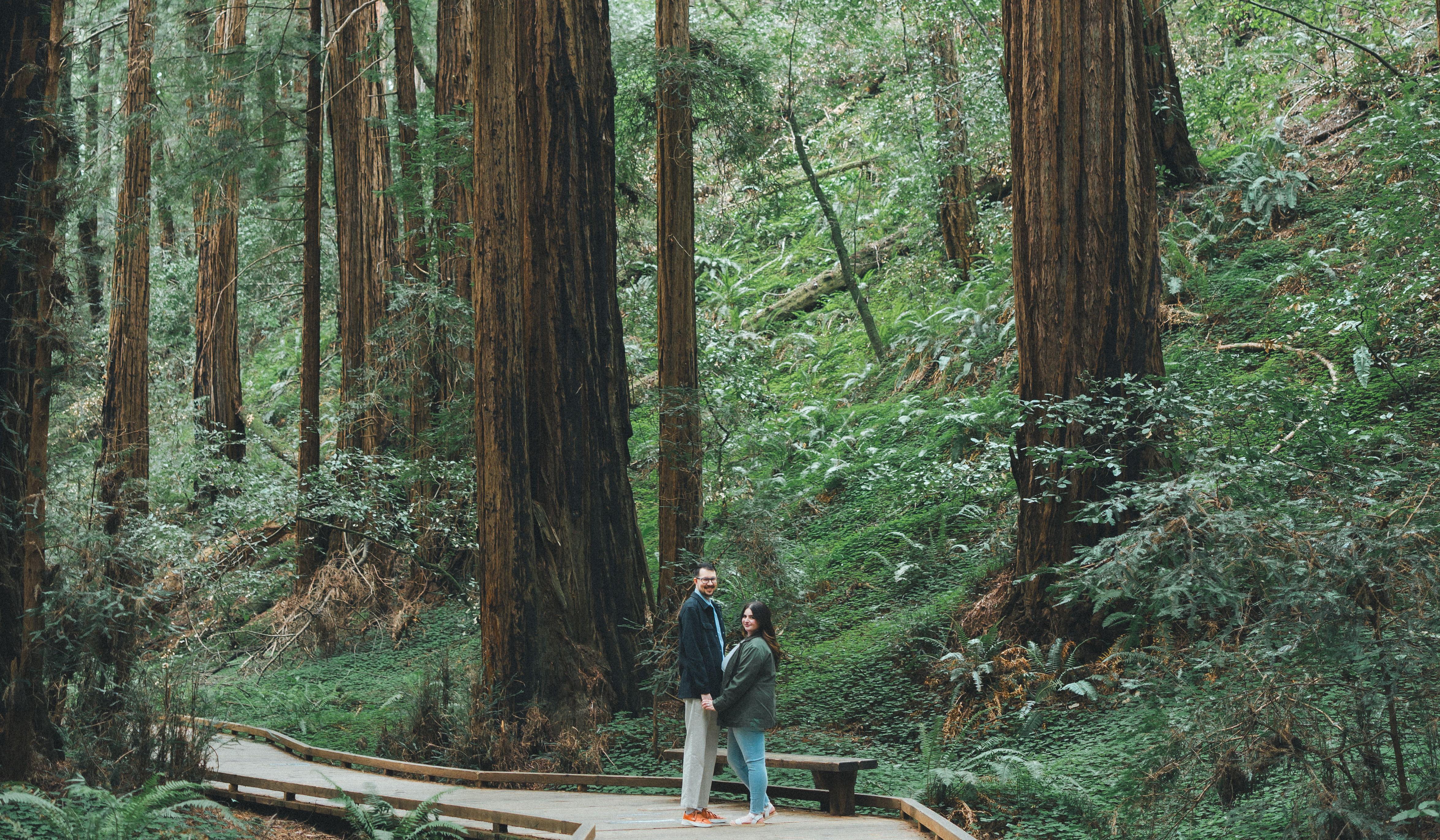 Hero Slideshow Image 1