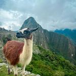 Historic Sanctuary of Machu Picchu