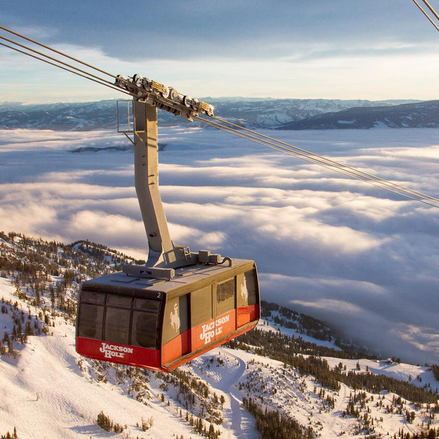 Honeymoon- Aerial Tram Ride