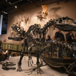 Natural History Museum of Utah