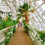 Myriad Botanical Gardens