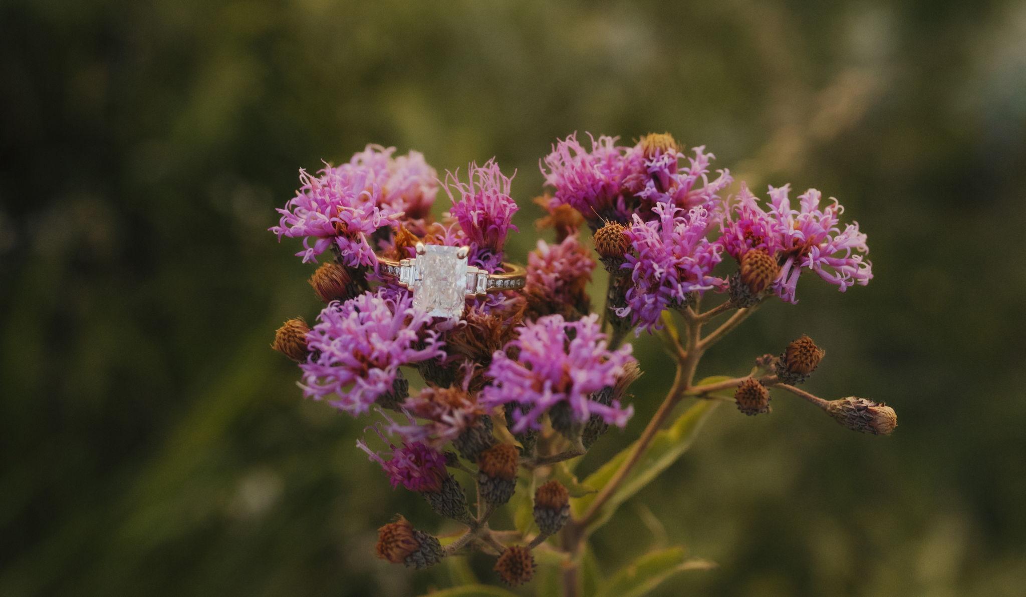 Hero Slideshow Image 4