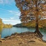Red Bud Isle - The original Connolly-Townsend union site