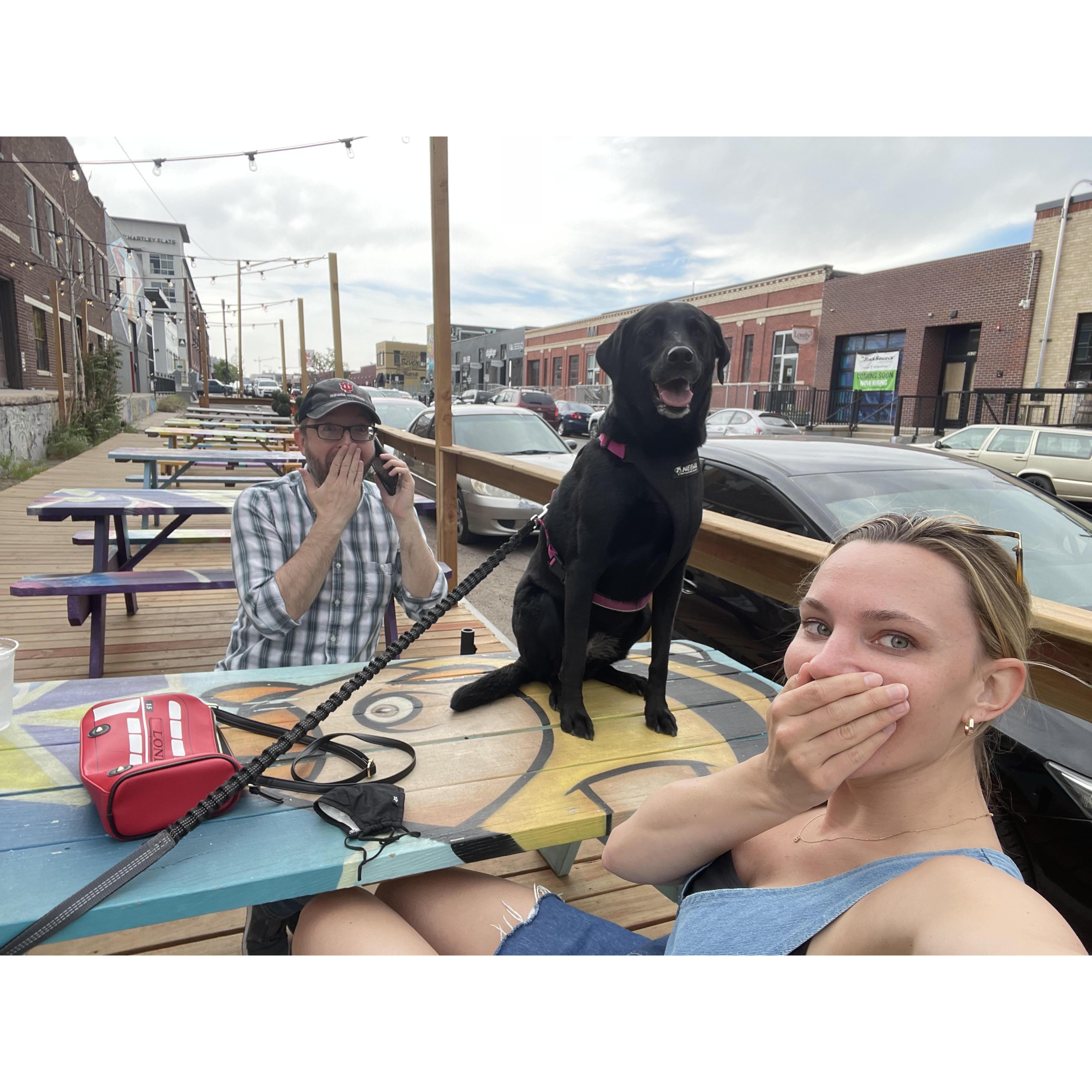 Her anxiety brought her onto the top of the table... "ruff" times, haha!