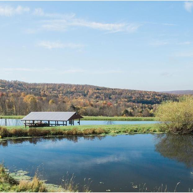 View of fishing lake and swimming lake, with beachside pavilion.