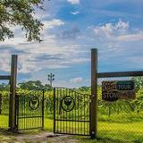 Deep Water Vineyard
