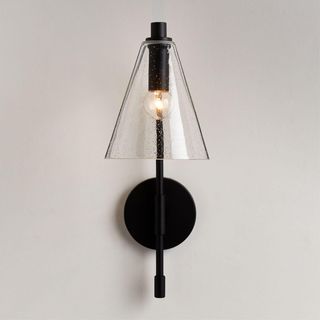 Lisse Seeded Glass Indoor/Outdoor Wall Sconce Light
