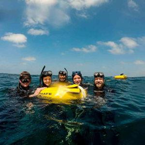 Discover Freediving Class