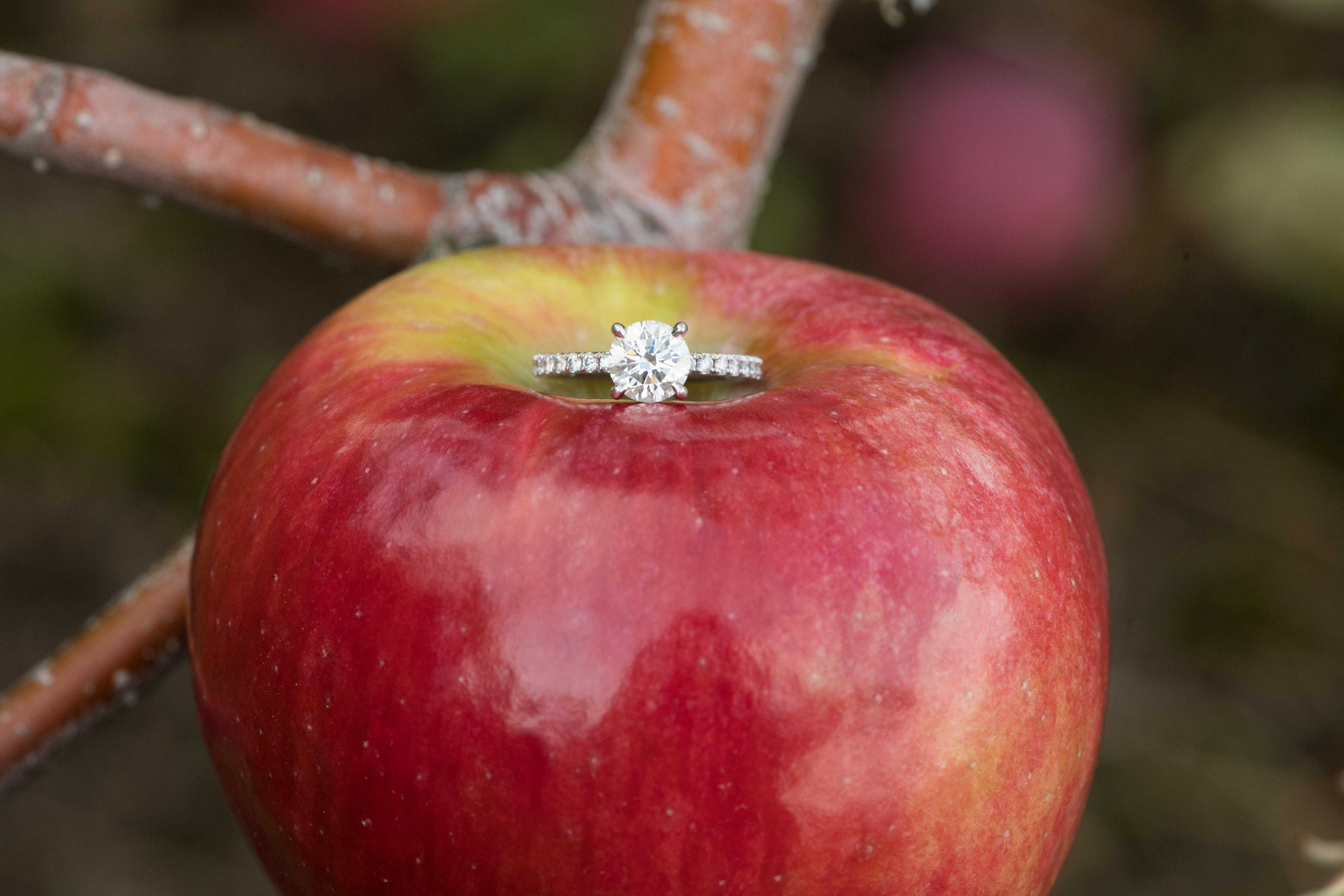 The Wedding Website of Rachel Aylward and Daniel Ryan