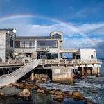 Monterey Bay Aquarium