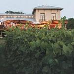 Chandler Hill Vineyards