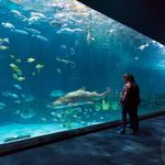 North Carolina Aquarium on Roanoke Island