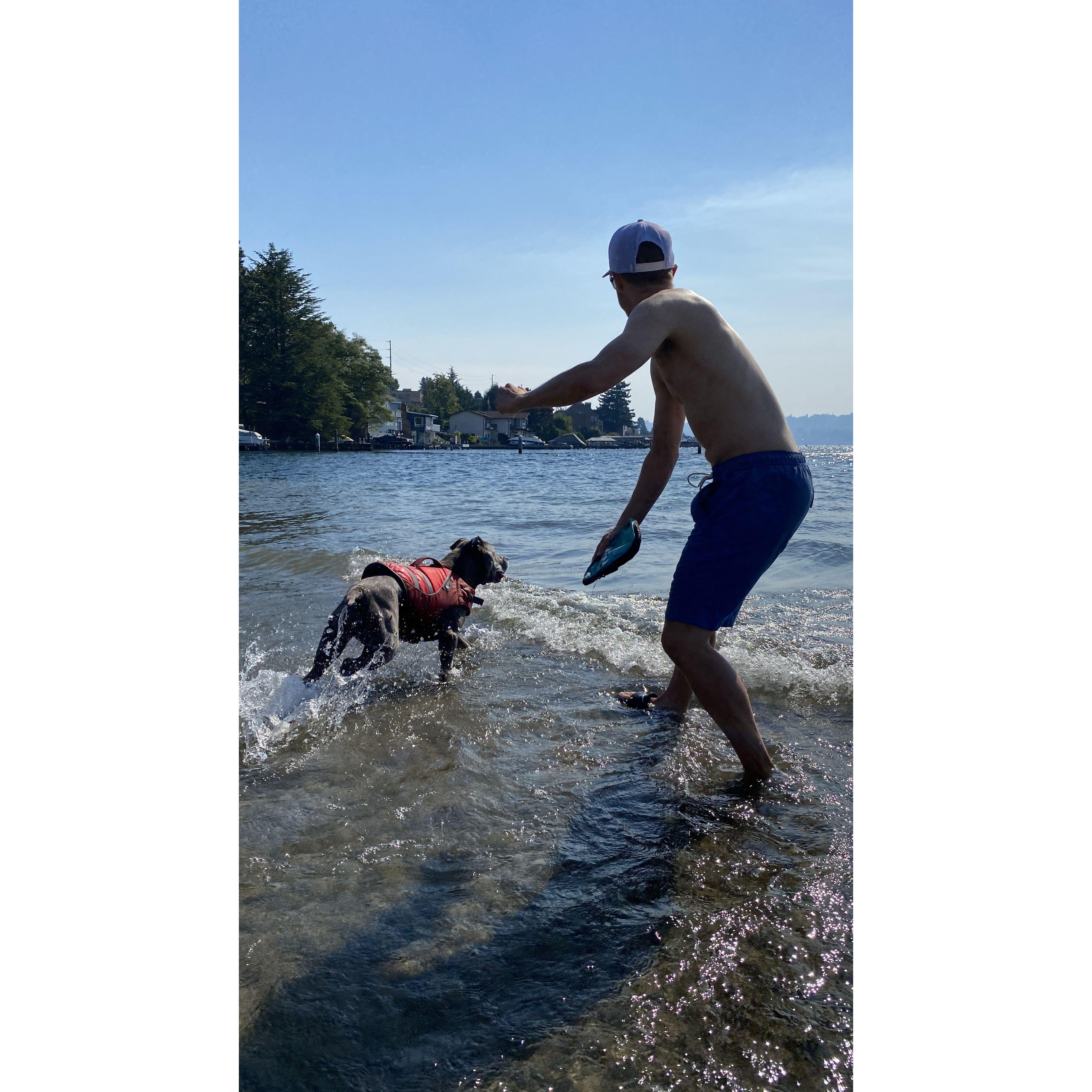 in their happy place, playing water fetch