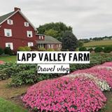 Lapp Valley Farm Creamery & Café