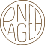 Pangea Kitchen