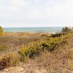 Kohler-Andrae State Park
