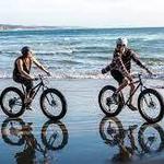 Bike Rental