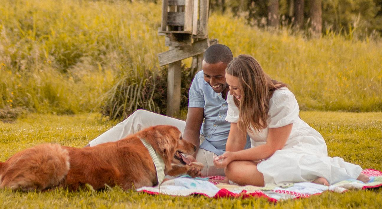 Adil Shamsher and Brittany Labossier's Wedding site