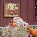 Angry Orchard Cider House