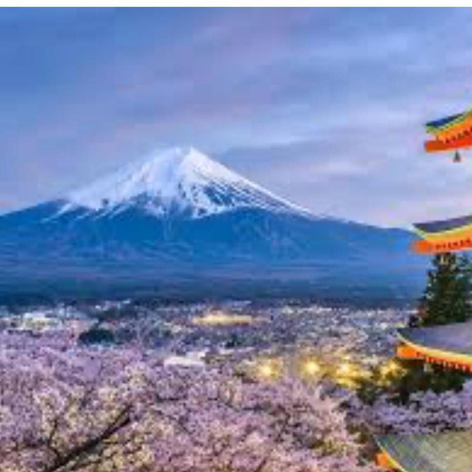 *Bridal Shower gift - Mt Fuji Tour