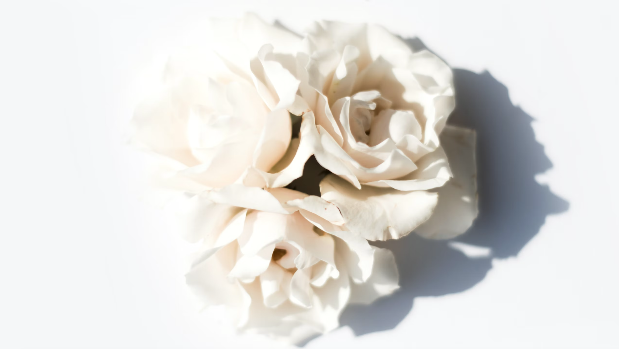 The Wedding Website of Kate Farrell and Jay Charnock