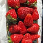Santa Barbara Farmers Market // Saturday