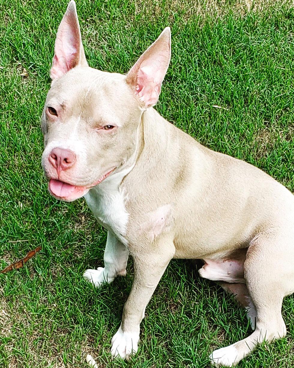 Morton, youngest, 1.5 years, ‘full on heathen’