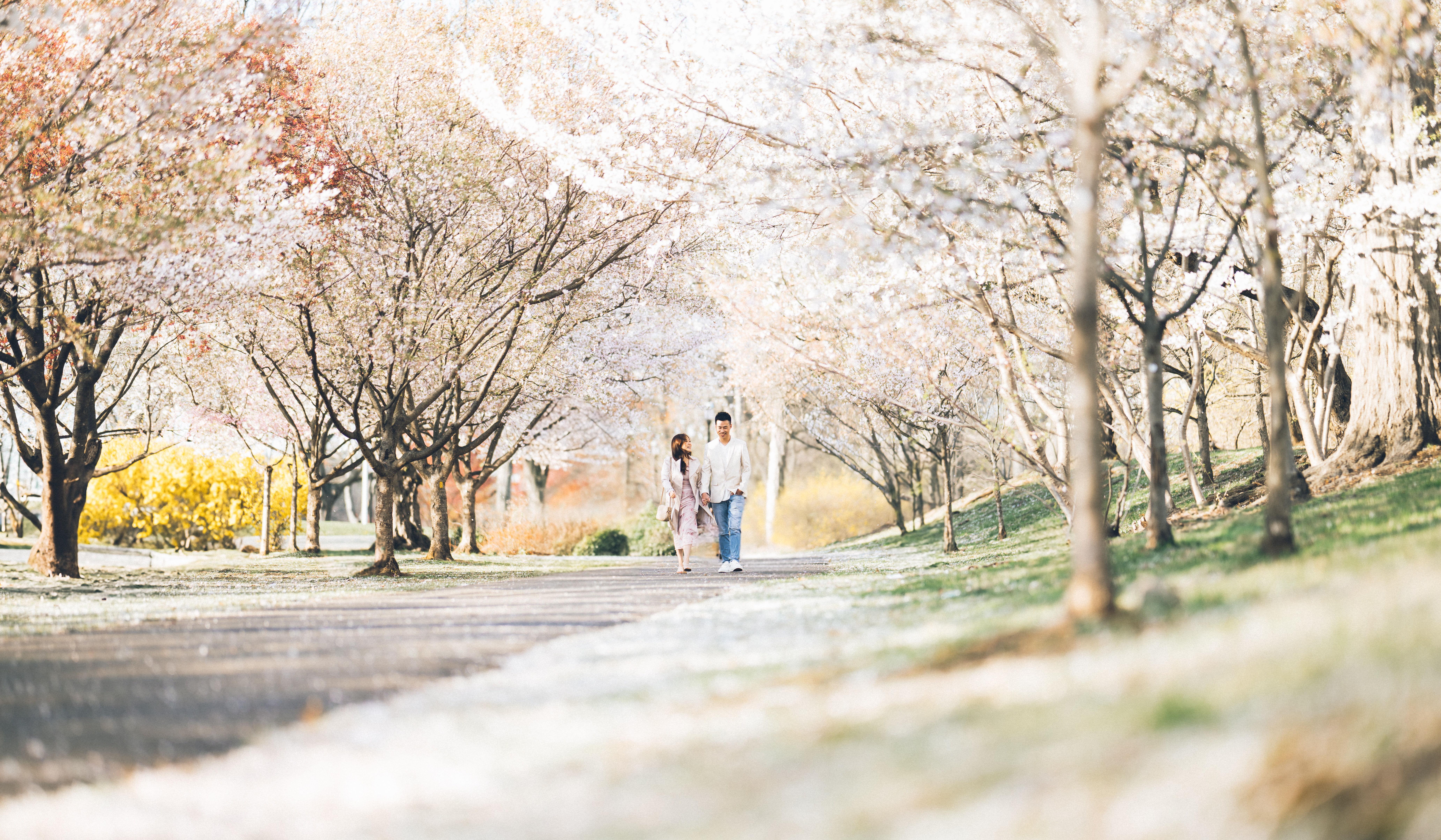 Hero Slideshow Image 0