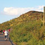 Tumamoc Hill Hiking Trail