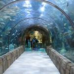 Audubon Aquarium