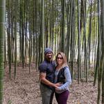 Hike to the bamboo forest!