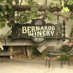 Bernardo Winery