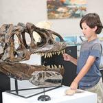 Texas Through Time Museum