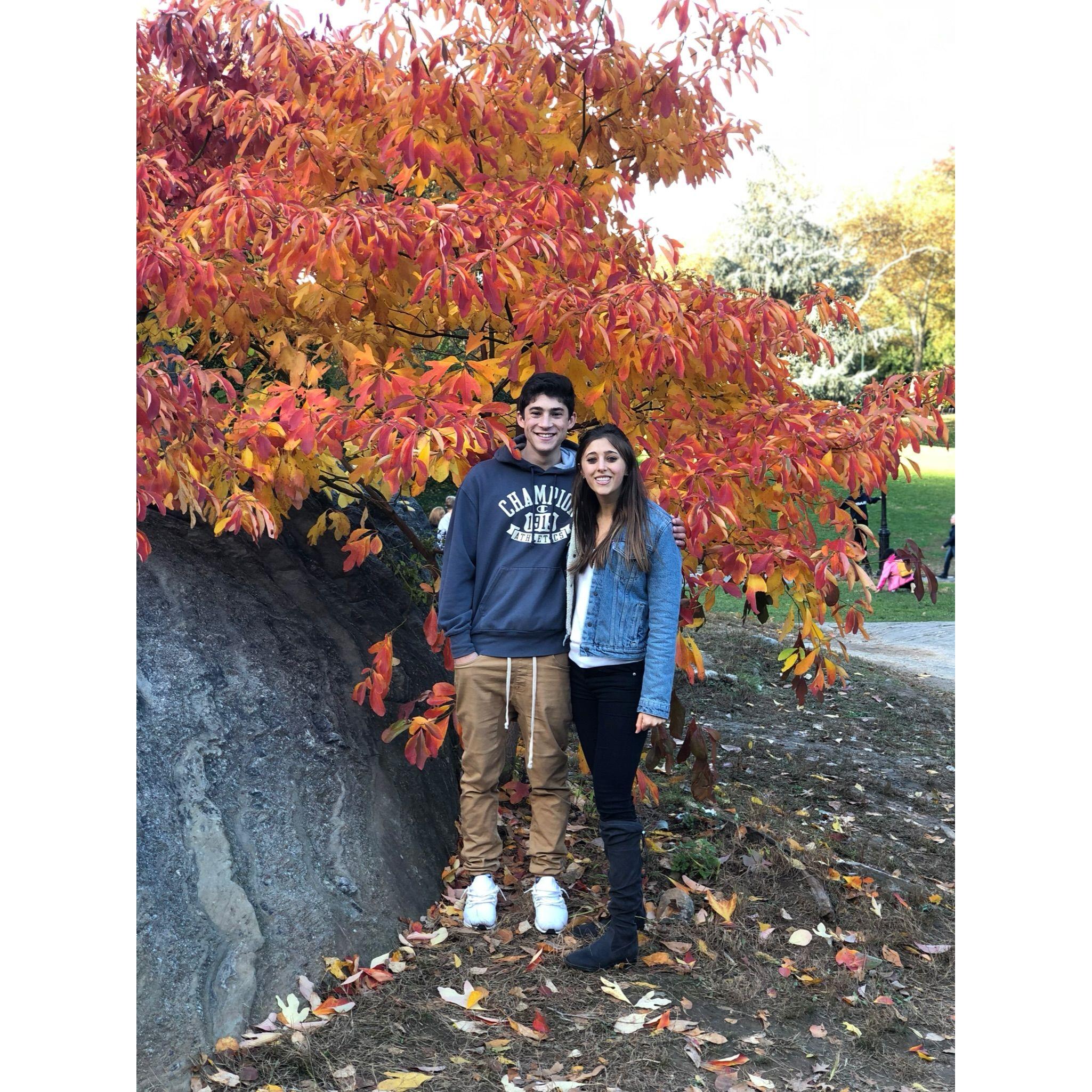 Central Park