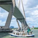 Annual Blessing of the Fleet & Seafood Festival