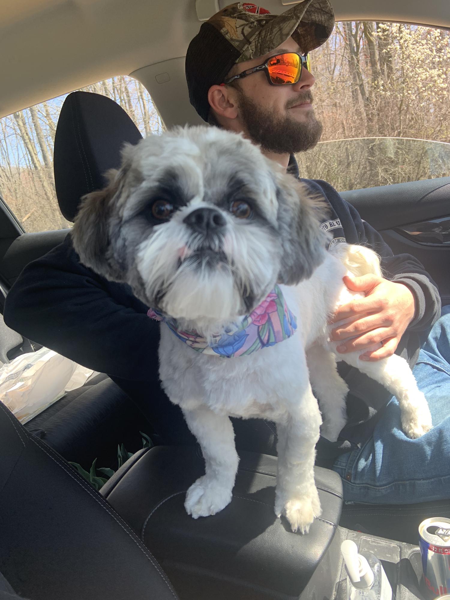 The fur baby