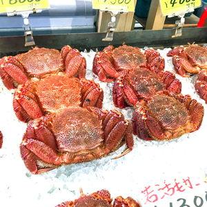 Hakodate food tour