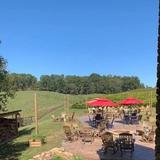 Cavender Creek Vineyards